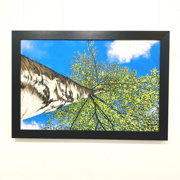 'Summer Birch I' by artist Gavin Weir